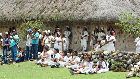  Quest for Healing: A Colombian Odyssey into Traditional Medicine!